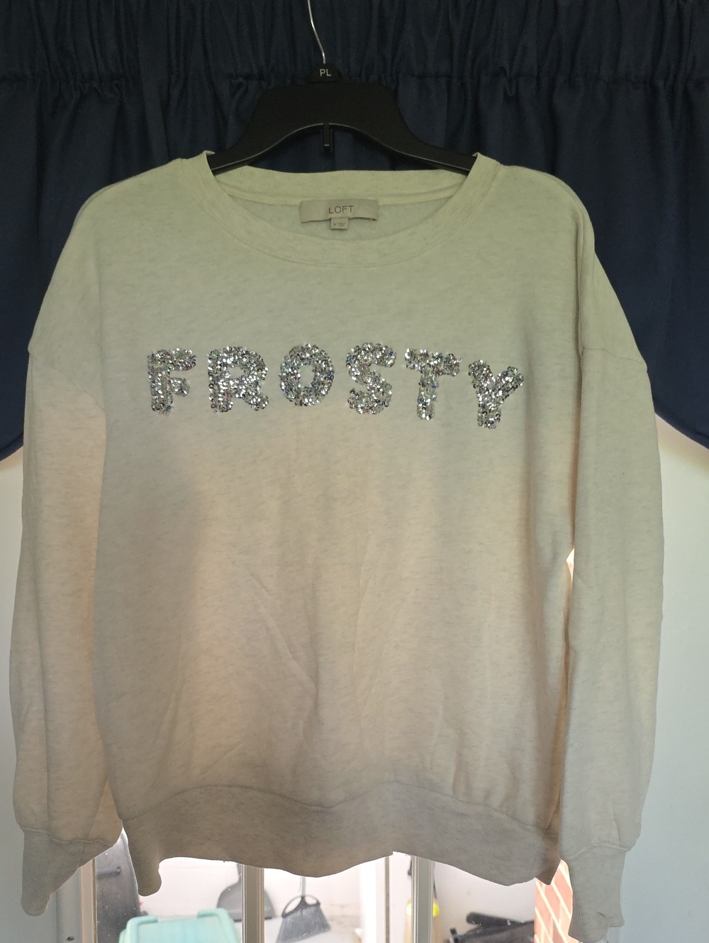 LOFT Cream Crewneck Sweater with Silver Sequin 'FROSTY' Medium